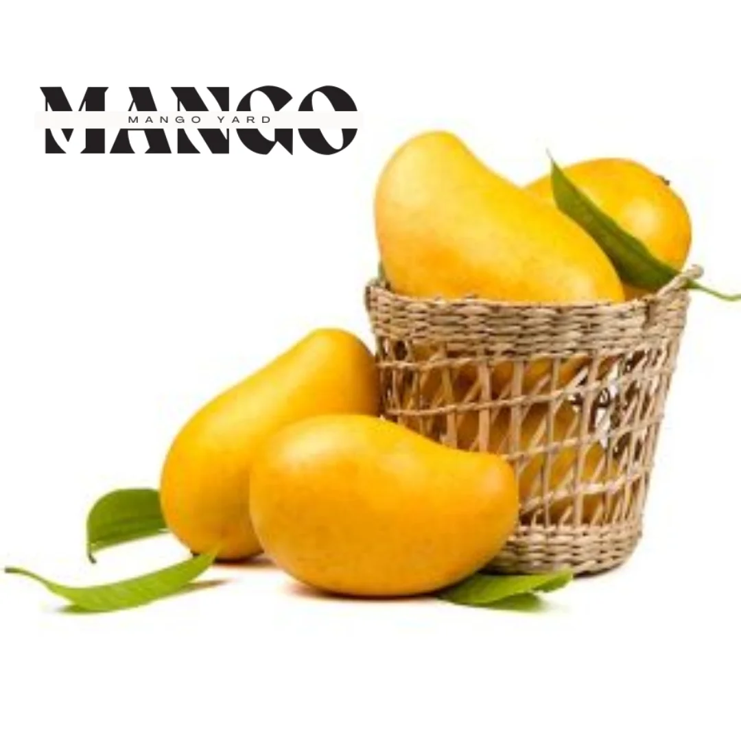 Dusseri Mangoes