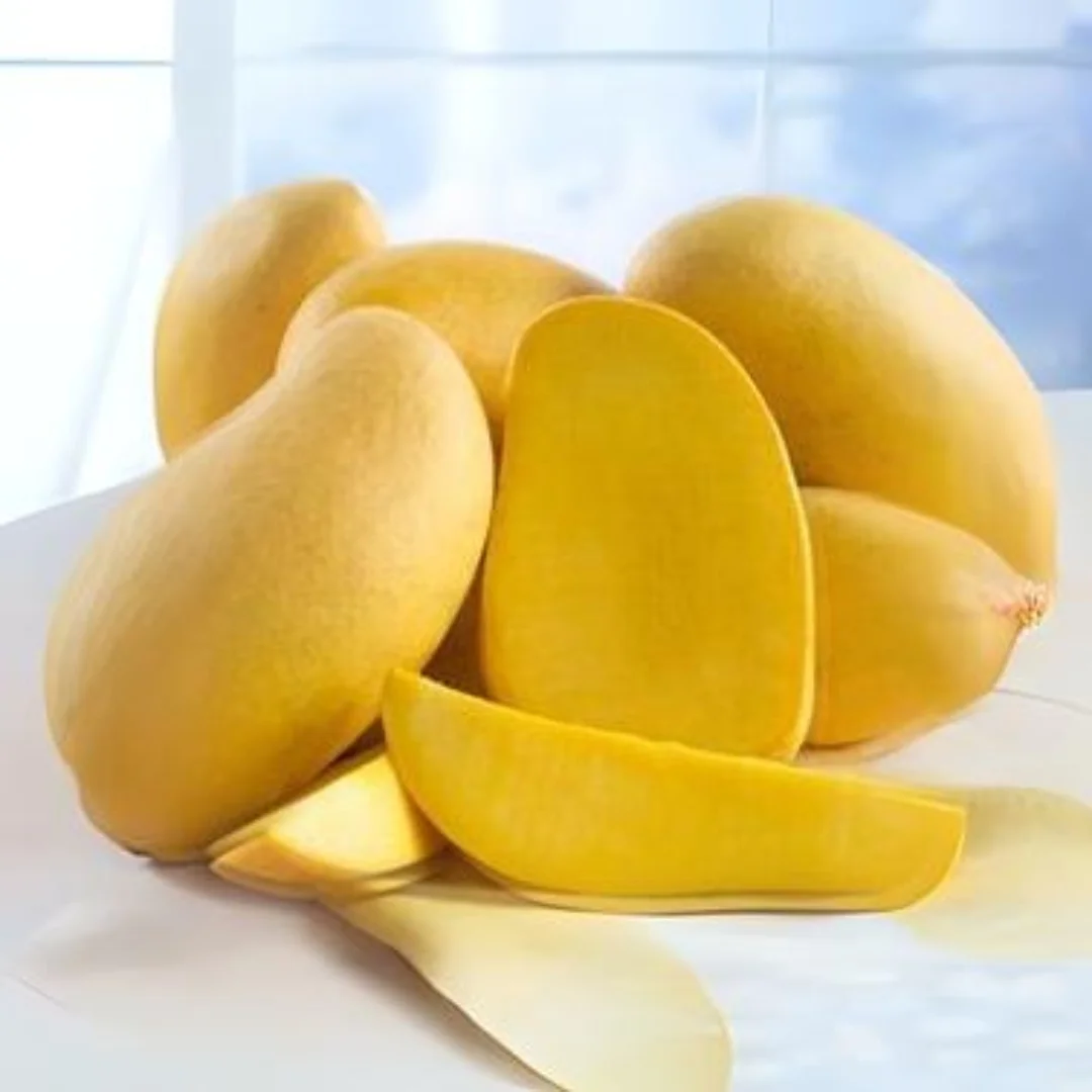 White Chaunsa Mango