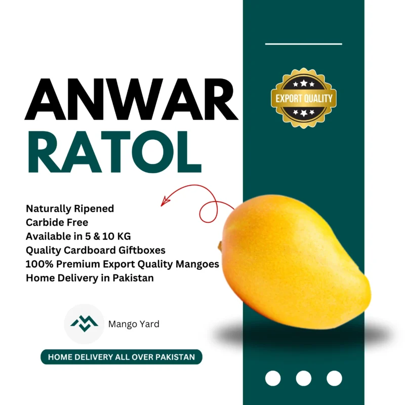 Anwar Ratol Mango انور رٹول Export Quality