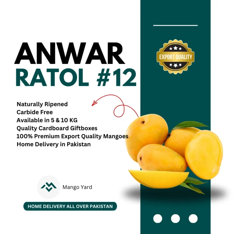 Anwar Ratol No 12 Mango انور رٹول Export Quality