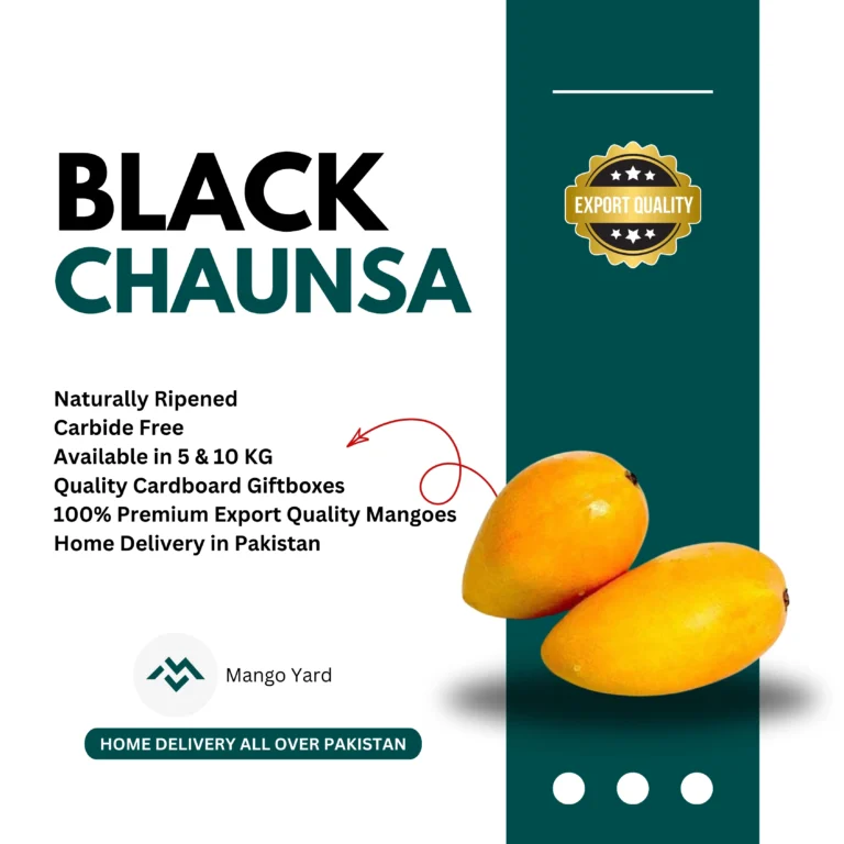 Black Chaunsa Mango Export Quality in Pakistan