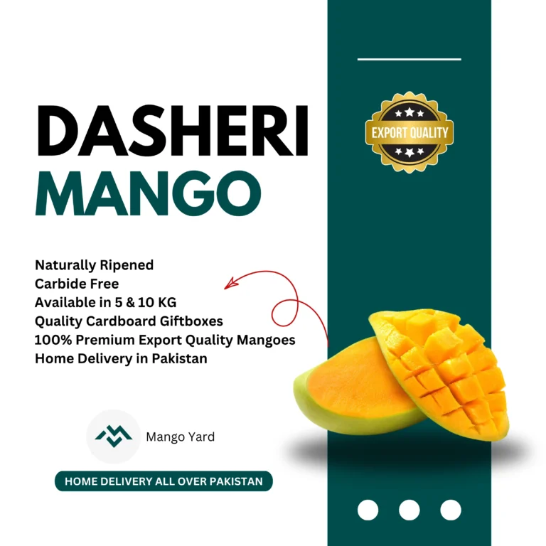 Dasheri Mango دسہری Export Quality Pakistan