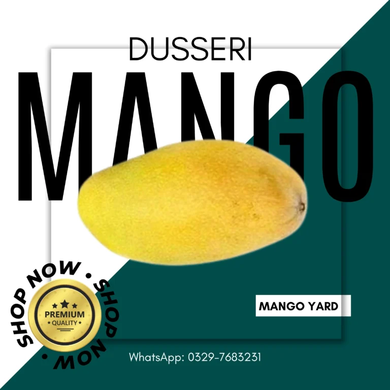 Dussehri Mango Premium Quality from Mango Yard, Pakistan