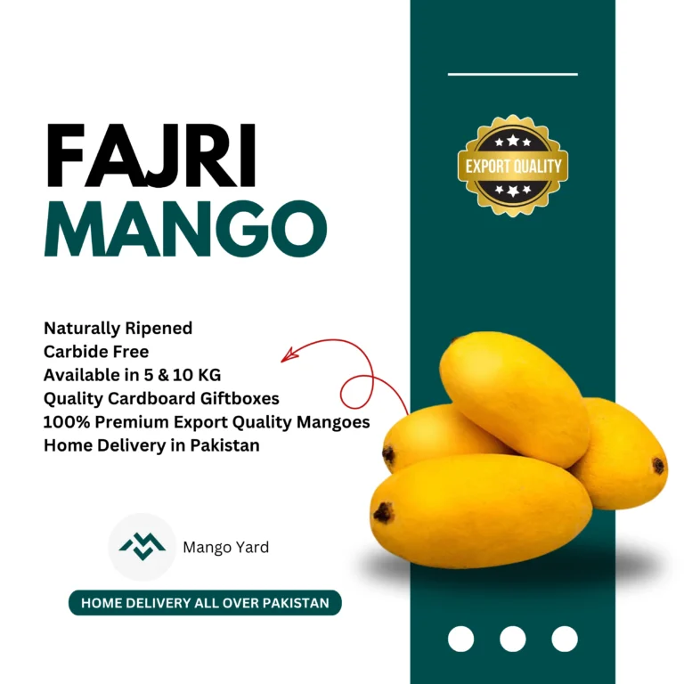 Fajri Mango Export Quality in Pakistan