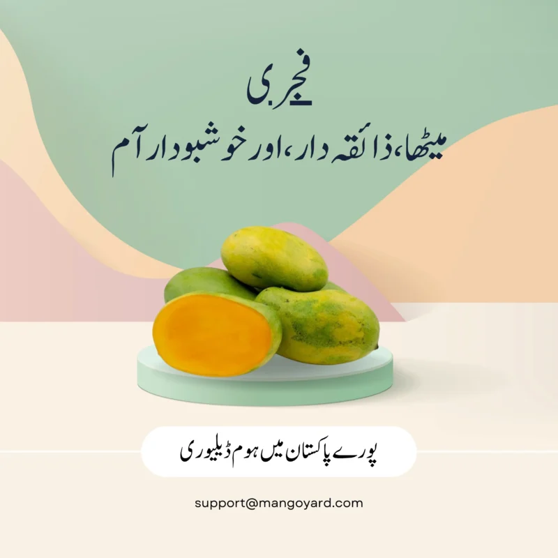 Fajri Mango Export Quality in Pakistan