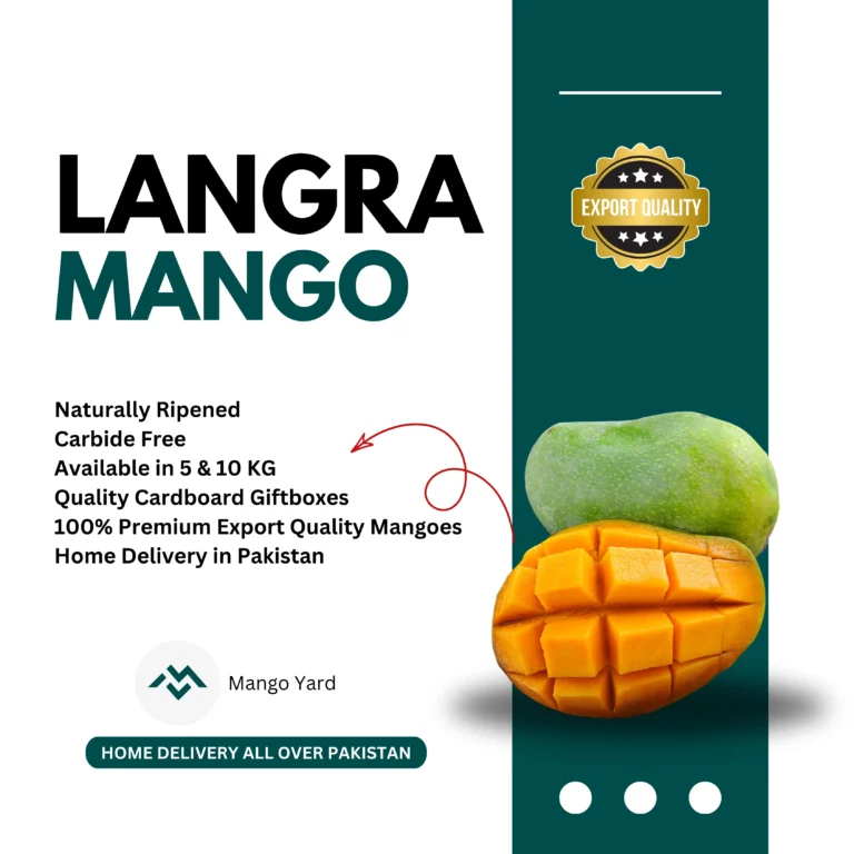 Langra Mango Export Quality in Pakistan