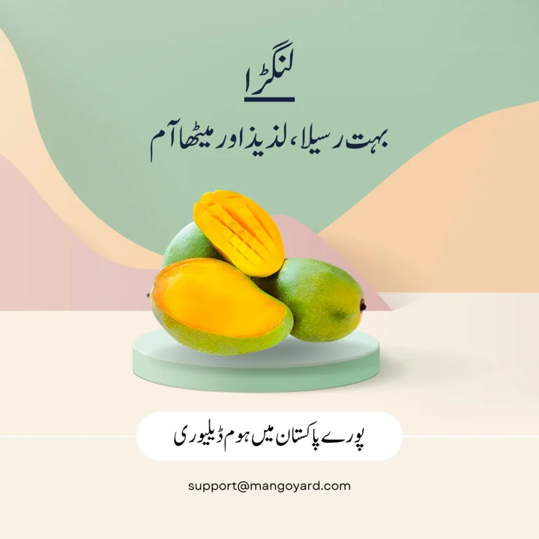 Langra Mango Export Quality in Pakistan