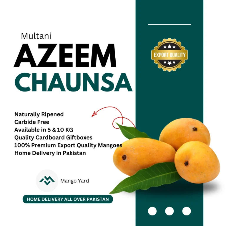 Azeem Chaunsa Mango Export Quality – Rattewala