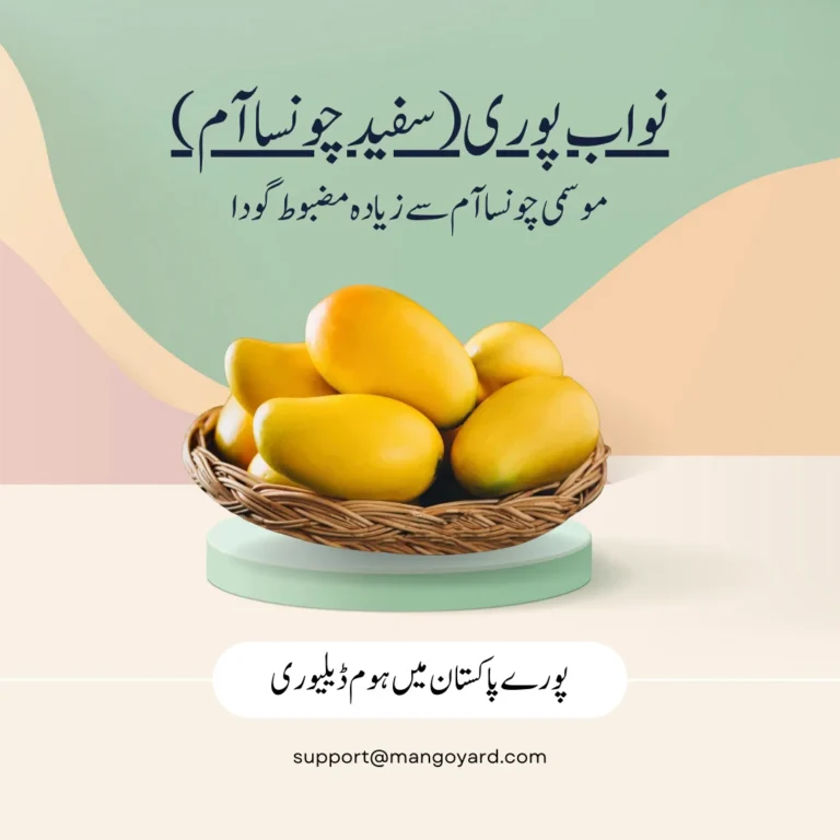 Nawab Puri Export Quality Premium White Chaunsa Mango Buy Online Pakistan