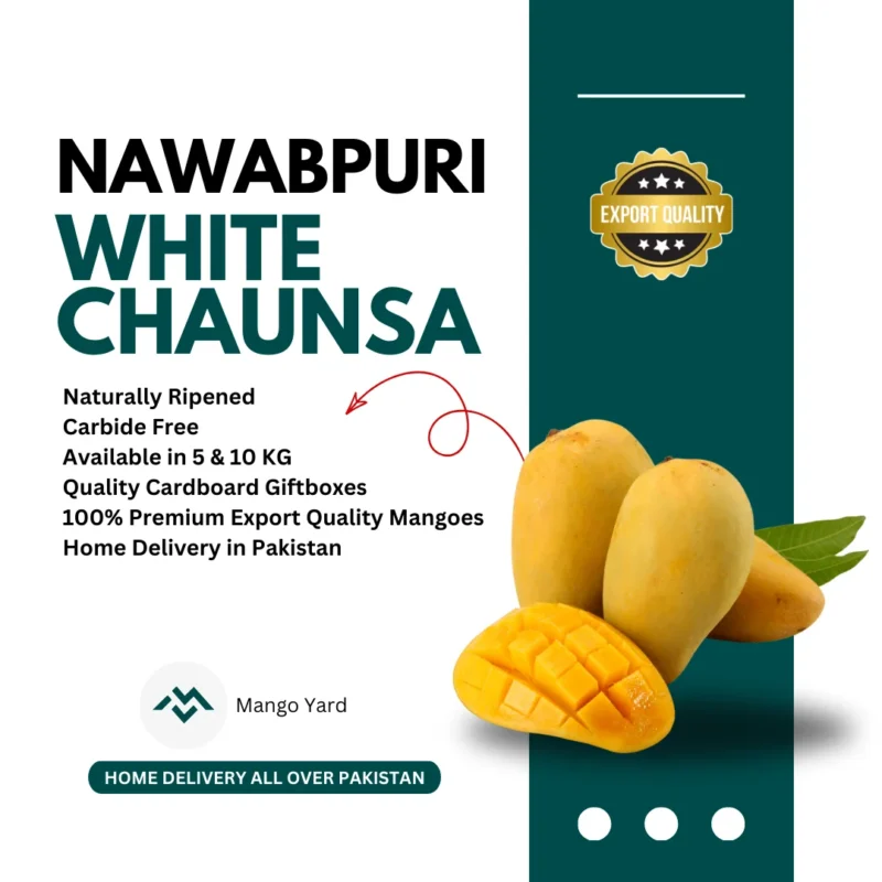 Nawab Puri Export Quality Premium White Chaunsa Mangoes Buy Online Pakistan