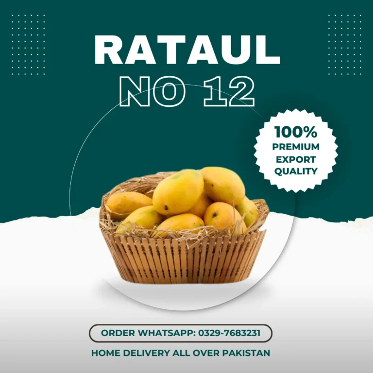 Anwar Ratol No 12 Mango انور رٹول Export Quality