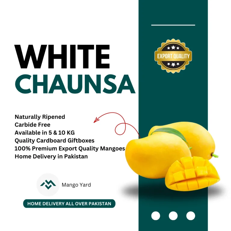 White Chaunsa Mango Export Quality in Pakistan