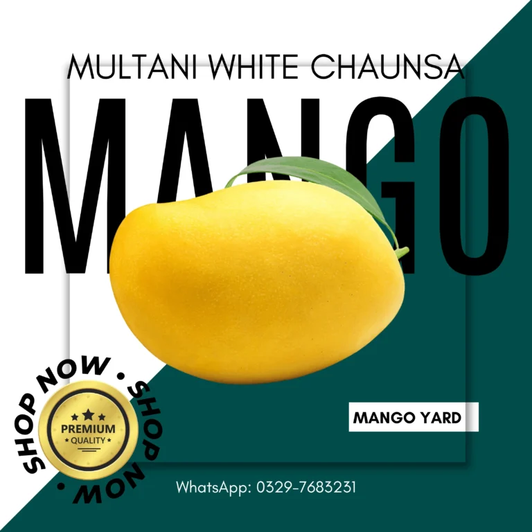 A close-up of fresh Multani White Chaunsa Mangoes, showcasing their smooth, golden skin and perfect ripeness.