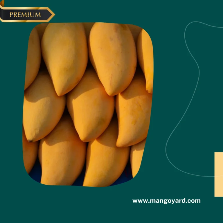 A basket filled with Multani White Chaunsa Mangoes, accompanied by a sliced mango showing its vibrant orange flesh.