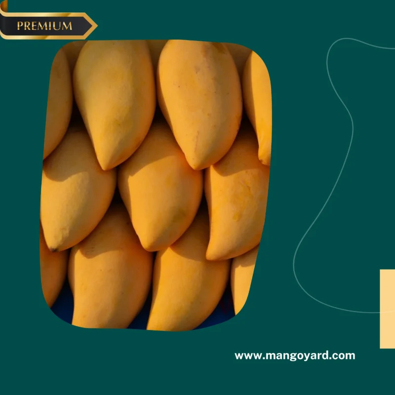 A basket filled with Multani White Chaunsa Mangoes, accompanied by a sliced mango showing its vibrant orange flesh.